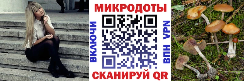 Псилоцибиновые грибы Psilocybe нарко площадка какой сайт Сельцо
